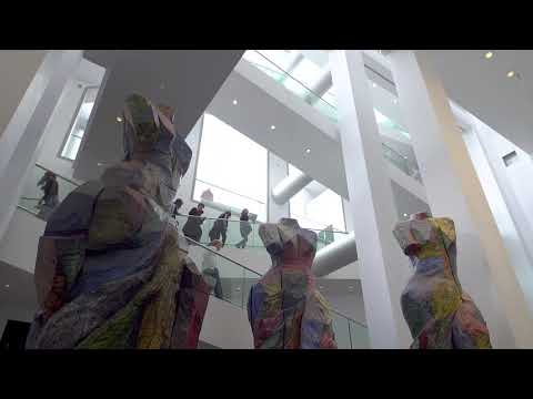 Video: Montreal Museum of Fine Arts MMFA (Musee des Beaux Arts)