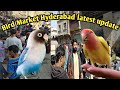 Hyderabad birds market  bird market hyderabad  exotic bird market  panhwar hyderabadi