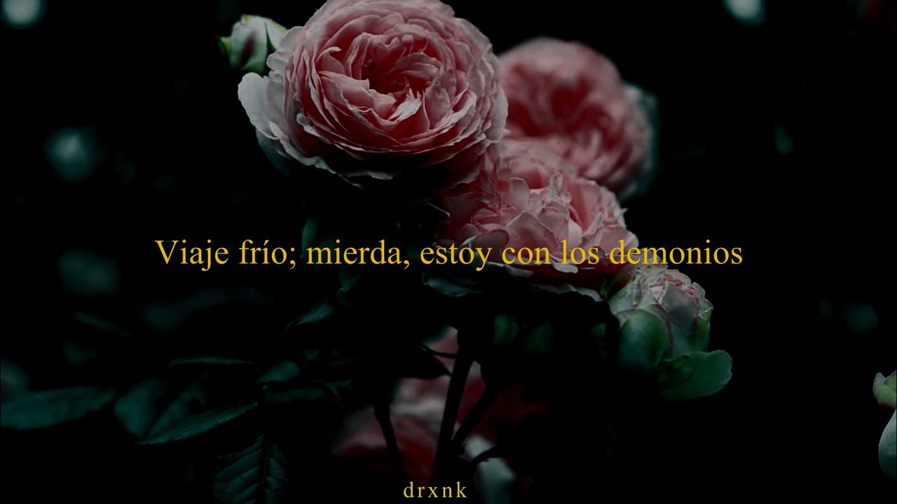 Pink roses Lil Xan (Sub. español) YouTube