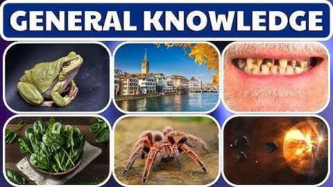 Your Brain Still Working ? -  35 General Quiz Test - Trivia Quiz Game