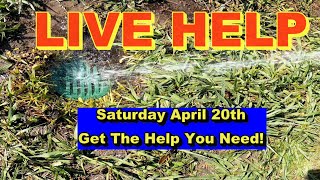 Get The Help You Need - LIVE HELP