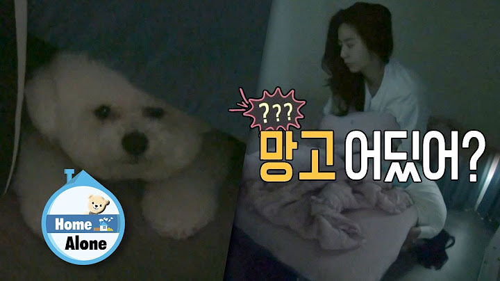 UIe searches under her bed while hanging upside down [Home Alone Ep 349] - 天天要闻