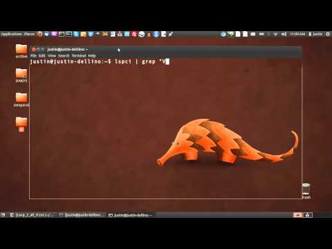 find your video card model in ubuntu 12.04 hqdefault