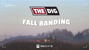 FLASHBACK FRIDAY: Fall Banding | The Dig