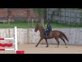 Young Horse Showjumping Training Part 4