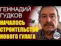 Геннадий Гудков - Приговор не Навальному, а России