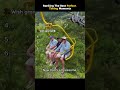 Ranking The Best Perfect Timing Moments of Internet #shorts #viral