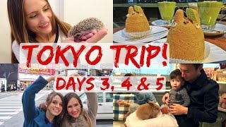 TOKYO trip: Part2/2. Tokyo Tower, Texan in Tokyo, Ms. Bunny cafe, Totoro Cakes - AMWF Family