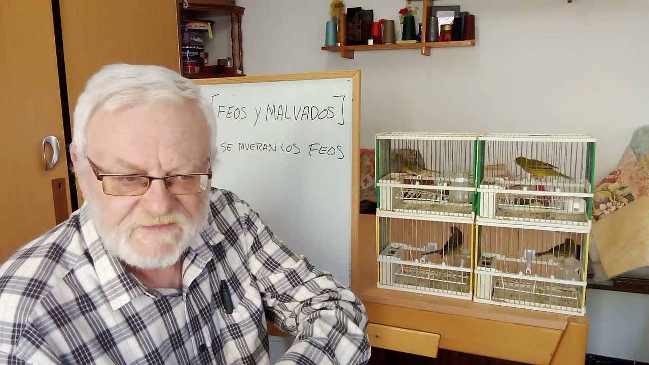 VERDE JUNQUILLO METALICOoo