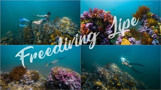 Freediving Lipe Thaialnd ( ฟรีไดฟ์ เกาะหลีเป๊ะ )