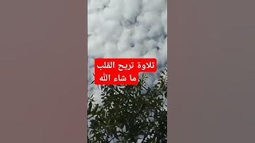 اكسبلور #اليمن #الجزائر #العراق #فلسطين أجمل تلاوة #السعوديه