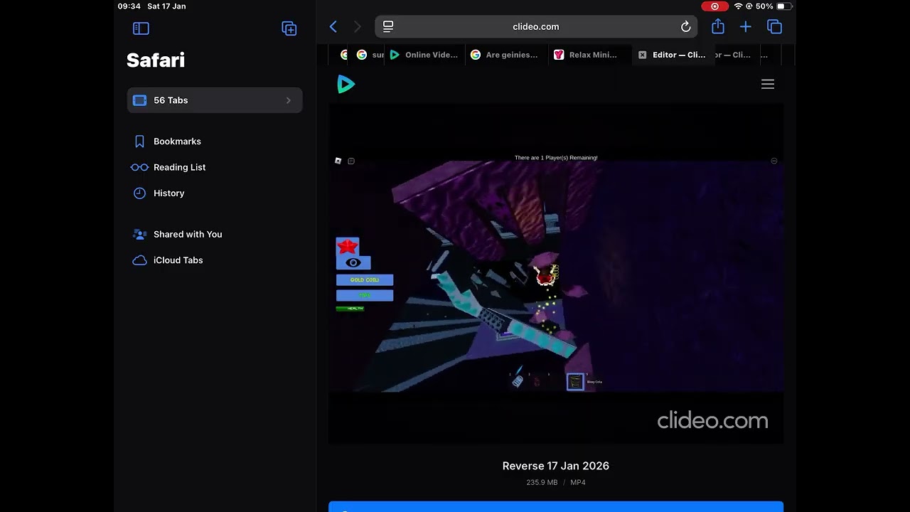 RelentlessEnd Reversed
