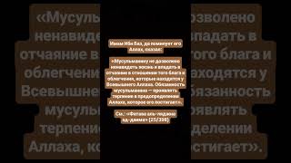 11 сентября 2025 г.