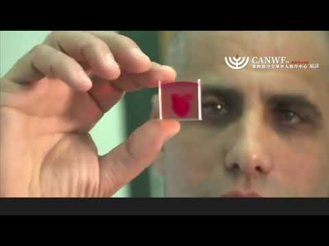 以色列科學家製作出首顆3D列印心臟