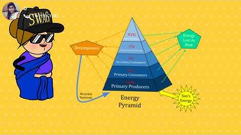 pyramid in environment