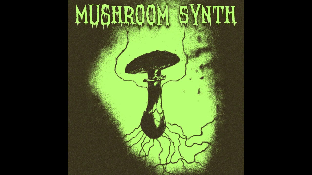 Mushroom Synth RYM Box Set YouTube