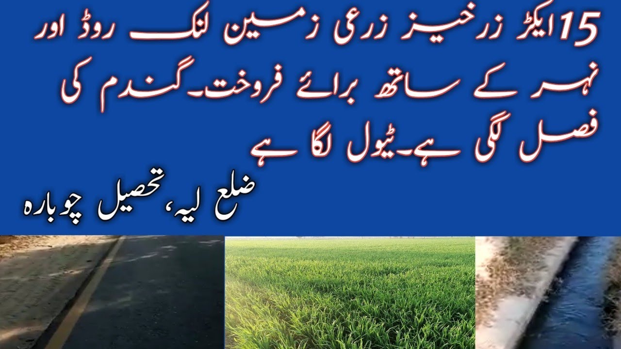 Agriculture fertile Land 15 Acres for sale in district LAYYAH tahsil