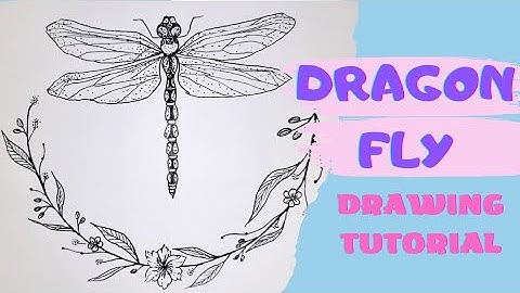How to Draw a Dragonfly: Step-By-Step Tutorial for Beginners