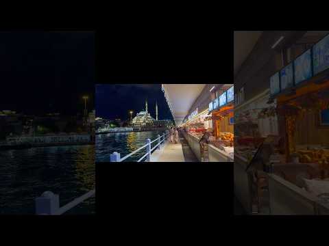 🚢 Bosphorus Cruise | Europe to Asia Ferry in Istanbul 🇹🇷 #Shorts