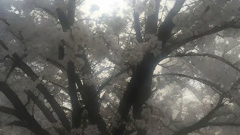 headlock x headlock | sped up