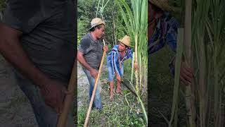 copy FEA2DE32 BDA0 4EC1 859C 77081D275EE3
