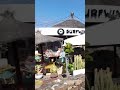Cocktails, Food &amp; Seafront Vibes at Surfwings, Costa Teguise Lanzarote