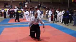 Internacional Artes Marciales Alejandro Santos Cuadra Venezuela
