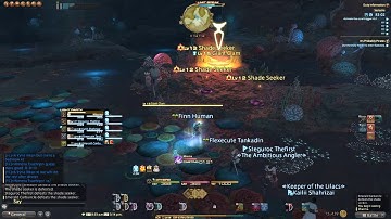 FFXIV Final Fantasy 14 "It
