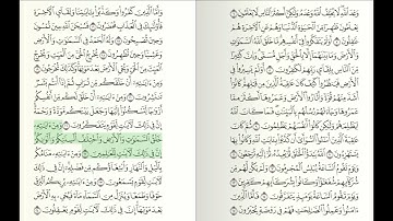 القرآن الكريم - الجزء 21 - بصوت القارئ الشيخ فارس عباد - QURAN JUZ 21