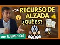 🟡 RECURSO DE ALZADA ¿Qué es?【TODO EXPLICADO, con EJEMPLOS en 6 MINUTOS】
