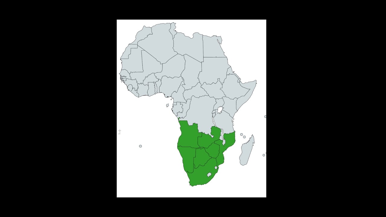 Prophetic Dream: Post-civil war South Africa borders. A beautiful ending to a currently tragic story