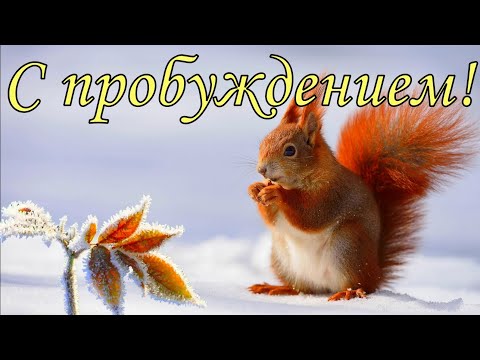 Зимнее доброе утро. С Пробуждением!