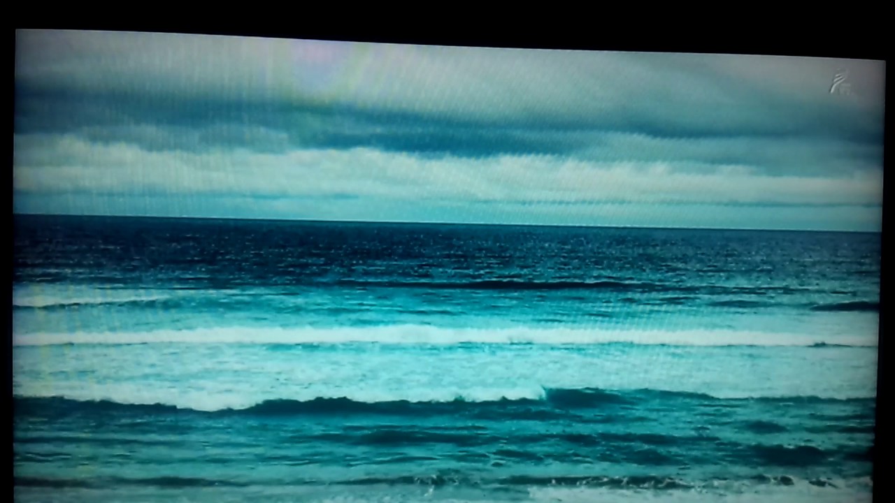 パーマネント野ばら