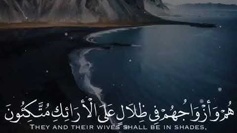 آيات من القرآن الكريم. تريح القلب