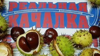 Рецепт настойки каштана при простатите и слабой потенции Рецепт настойки каштана при простатите и слабой потенции