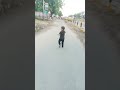 mere yaar Ki shaadi hai#shorts #viral #trending#song