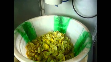 Lemon Cutting Machine price