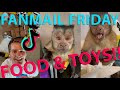 Georgie Boy Official - Fanmail Friday 6 😍🧸🐒  Extended Cut!