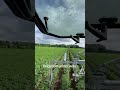 Spent the last week irrigating potatoes #farmer #potatoes #farming #shorts