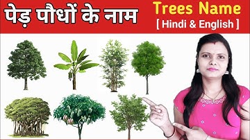 पेड़ पौधों के नाम हिन्दी और अंग्रेजी में |Name Of Plants and trees | trees Name Hindi & English