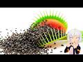 1,000 Moscas vs Venus Atrapamoscas | ChuyMine REACCIONA a TerraVerde Español thumbnail