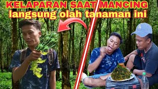 MASAK TANAMAN HUTAN YG SUPER ENDUL🤤