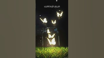 حالات واتس اب قران كريم | وأشرقت الأرض بنور ربها