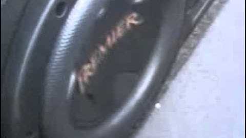 12vdb.com - car audio database: Pioneer Ts-w3004spl