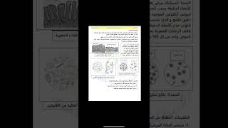 اختبار الفصل الاول في العلوم الطبيعية سنة رابعة 4 متوسط مع الحل نموذج 2026