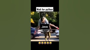 Wait for Python