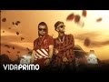 Jowell y Randy - Lo Que Quiero (Album Art)