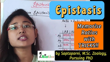 Epistasis: Genetics: CSIR-NET Lifesciences, UG, PG