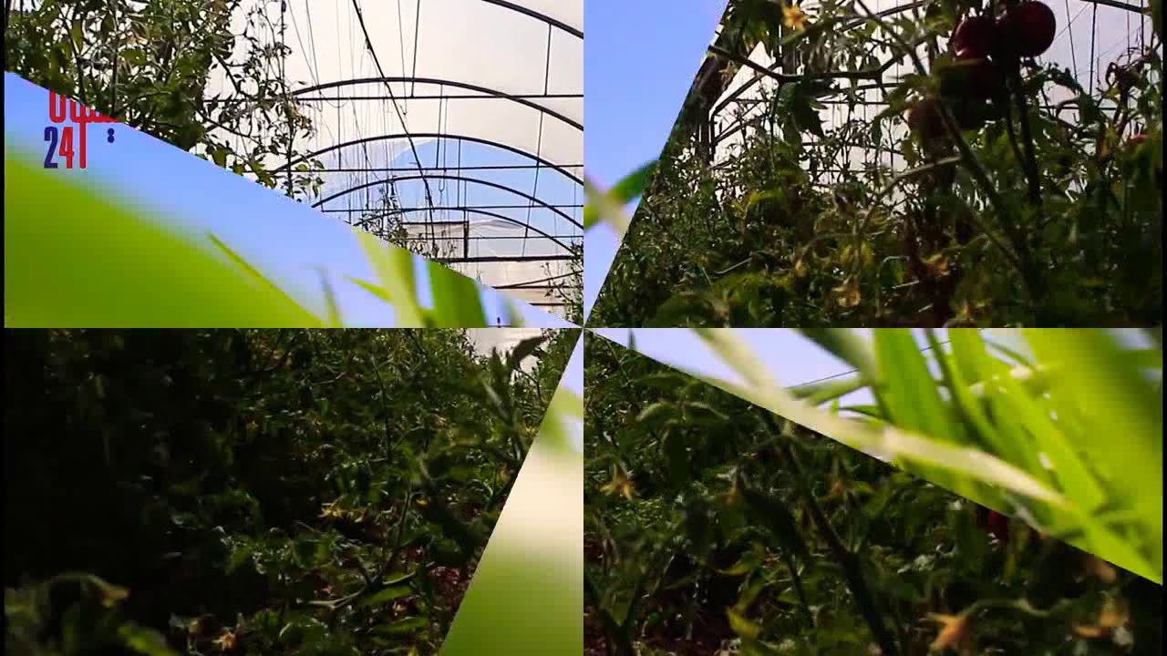 مرج الغرق || مرج صانور || سهل ميثلون ٧ مارس ٢٠٢١ و لقاء مع رئيس بلدية ميثلون