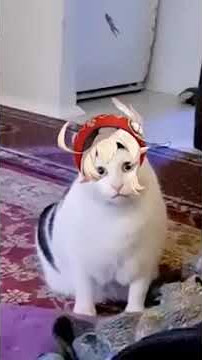 Boom Boom Bakudan! Cat Klee